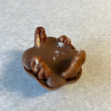 Load image into Gallery viewer, Salted Upside Down Turtle