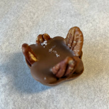 Load image into Gallery viewer, Salted Upside Down Turtle